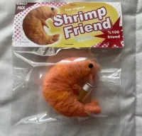 Shrimpzkji's profile picture