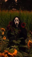 qAlfx's profile picture