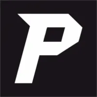 thePunshi's profile picture