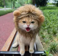 Yeerst's profile picture