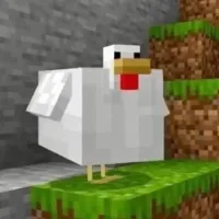 nah's profile picture