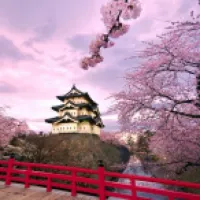 FENIIXMEISTER's profile picture