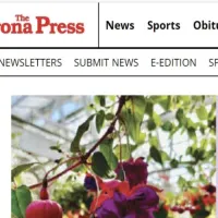 vmgummies's profile picture