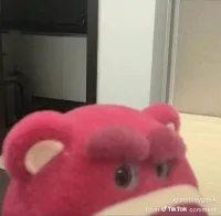 Sukunaa's profile picture