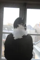 LiooWDJ.'s profile picture