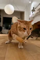 PM17YOU5667's profile picture