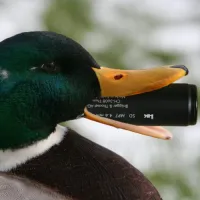 Neo's profile picture