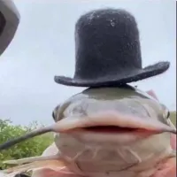 Mathiiis's profile picture