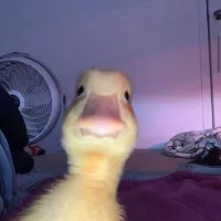 Hightower.-'s profile picture