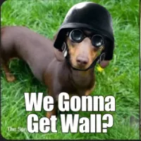 Seido's profile picture