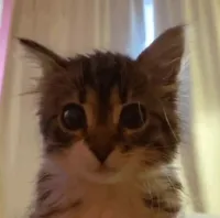 Mathe's profile picture