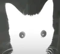 IYikesI's profile picture