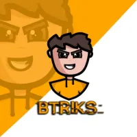 Btriks's profile picture