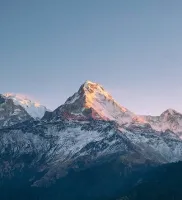 Molloy's profile picture