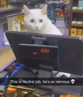 Heya's profile picture