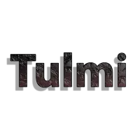 Tulmi's profile picture