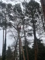 mtyboosts's profile picture