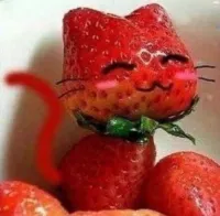 Thesaintdog's profile picture