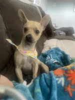 hysteria....'s profile picture