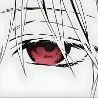 toro's profile picture