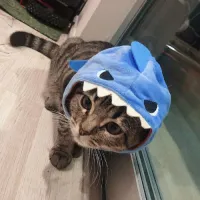 frky2k.'s profile picture