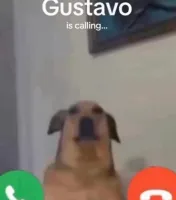 Rasty...'s profile picture