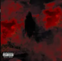 splat's profile picture