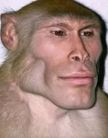 Kayuu.RZA's profile picture