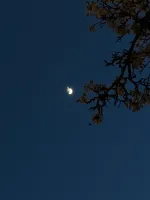 AshLoch.-'s profile picture