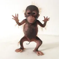 Akin's profile picture