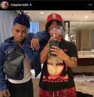 nulled's profile picture