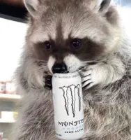 Karter.QU's profile picture