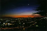 Relyc.'s profile picture