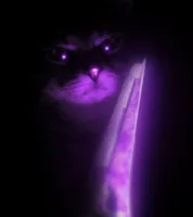 Nokkkaa.BYOD's profile picture