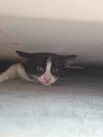 CRYRIM's profile picture