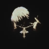 Vexiiss's profile picture