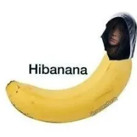 JanOleChan's profile picture