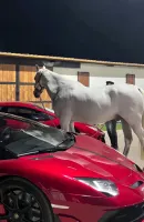 (DC)Ryu's profile picture