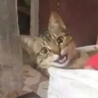 frexzy's profile picture