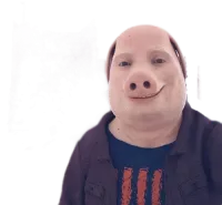 HitBands's profile picture