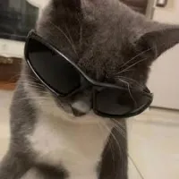 youba.SO's profile picture