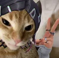 NIOUILLE's profile picture