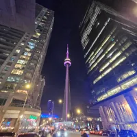 simo.'s profile picture