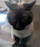 Kimol's profile picture