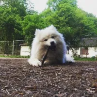 SamoWRLD's profile picture