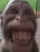 Float.GSN's profile picture