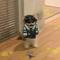 Song.GSN's profile picture