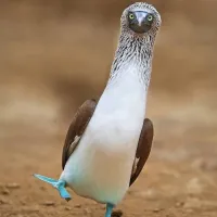 cloud-'s profile picture