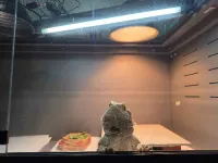 dgates.5k's profile picture