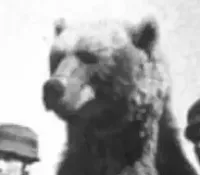 Huldris's profile picture